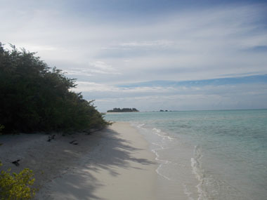 Deserted island's beach