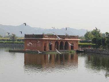 Jal Mahal's environment