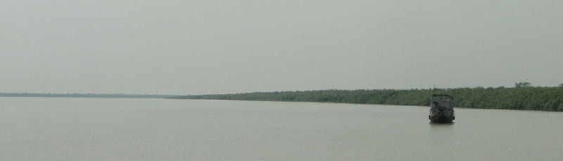 Sundarbans view