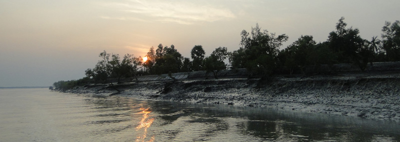 Puesta de sol en Sundarbans