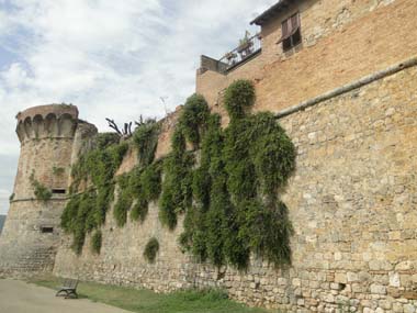 Wall of San Gimignano
