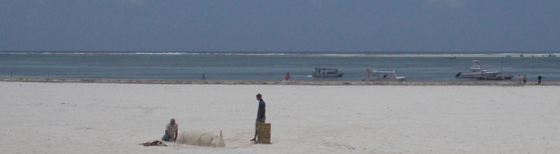 Diani Beach image by the morning