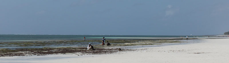 Diani Beach image by the morning