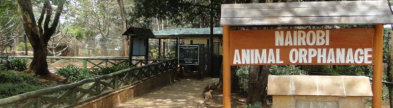 Animal Orphanage entrance