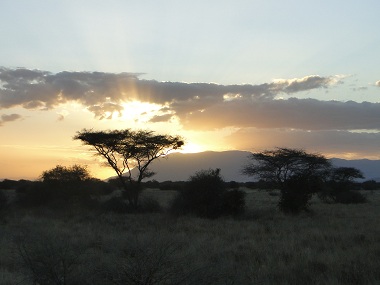 Anochecer en Amboseli