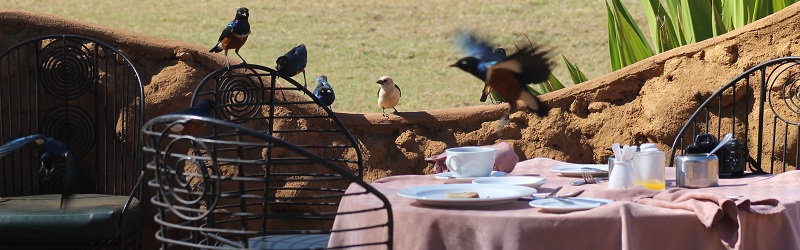 Festín en el desayuno del Amboseli Sopa Lodge