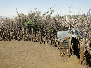 Corral in Maasai village