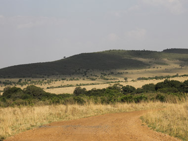 Paisaje de Masai Mara