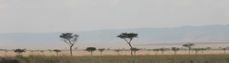 Typical landscape of Mara Triangle