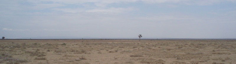 Maji Moto's desert