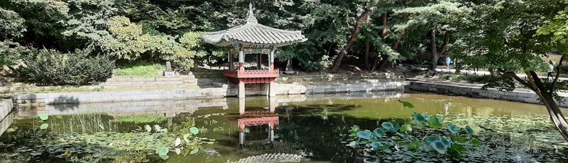 Changdeokgung Palace's secret garden