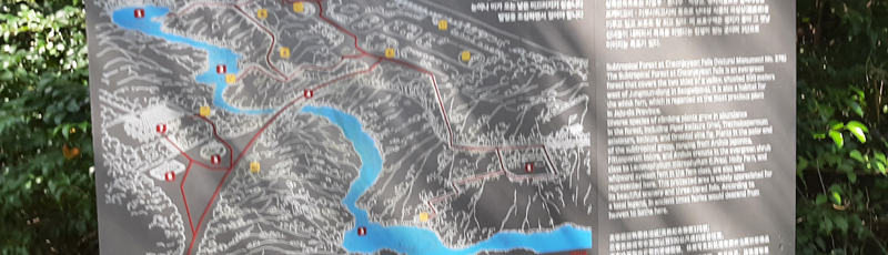 Plano de las cascadas Cheongjeyeon