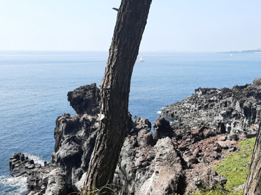 Jusangjeolli Cliff