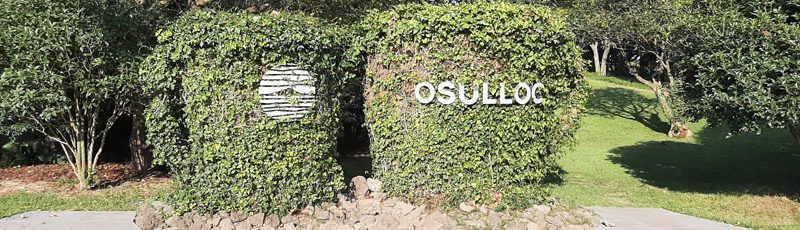 OSulloc tea museum