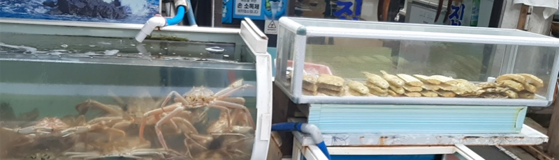 Pescado en el mercado de Jagalchi