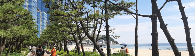 Walking by Haeundae Beach