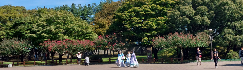 Gyeongju Doereungwon