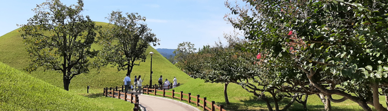 Gyeongju Doereungwon