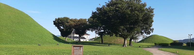 Paseando por Gyeongju