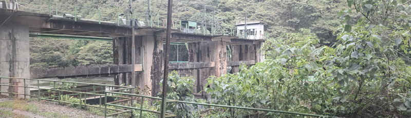 Presa junto al tren a Machu Picchu