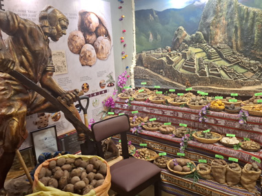 Exposicion en El Museo de la papa