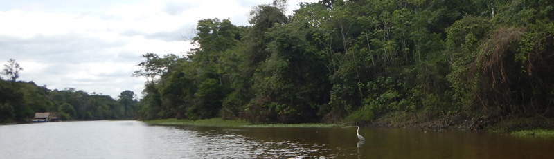 Arriving at Muyuna Lodge