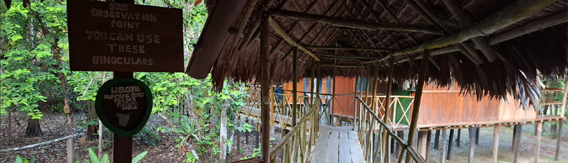 Way to breakfast in Muyuna Lodge