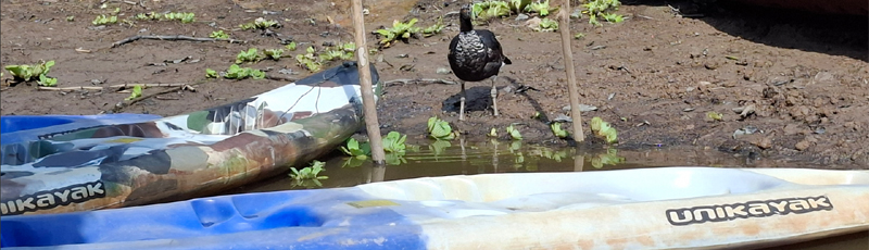 Kayaks in Muyuna Lodge