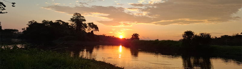 Sunset in Amazon