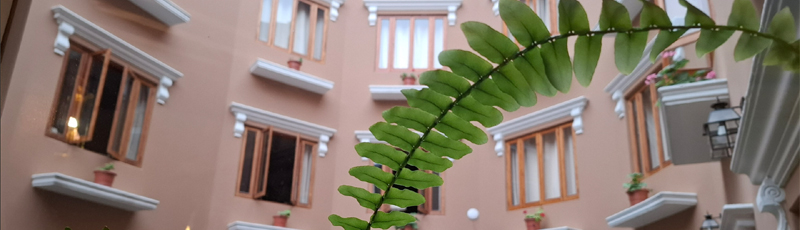 Hotel Antigua Miraflores