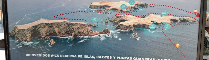 Esquema de la navegaci�n en Isla Ballestas