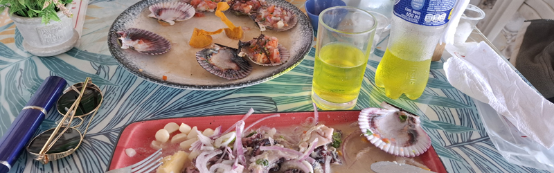 Nuestro almuerzo en Paracas