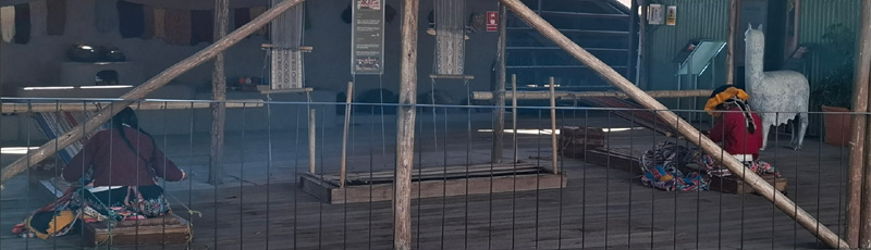 Mundo alpaca en Arequipa