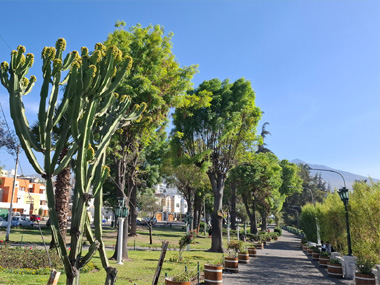 Parque en Yanahuara