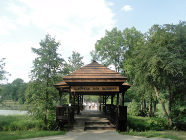 Palace Park in Bialowieza