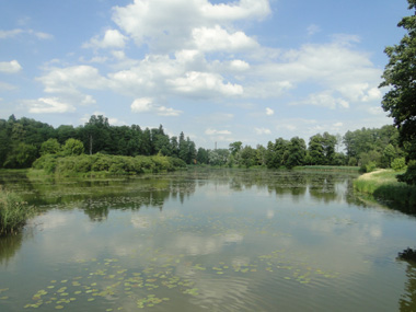 Palace Park in Bialowieza