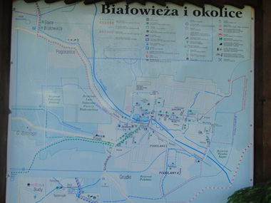 Bialowieza map