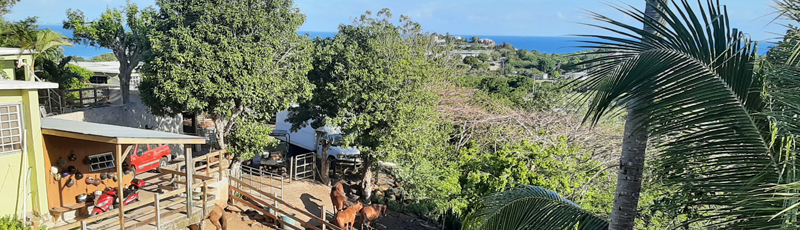 Vista desde nuestra terraza en el Seagate Hotel