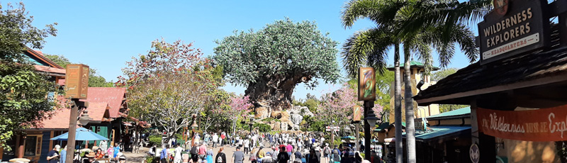 Animal Kingdom