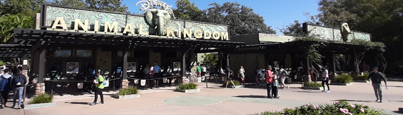 Entrada a Animal Kingdom