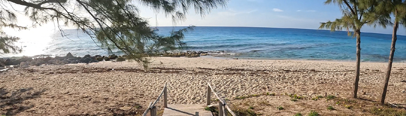 Playa de Bimini