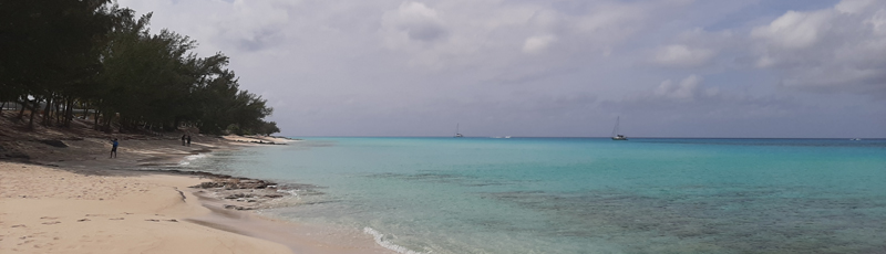 Playa de Bimini