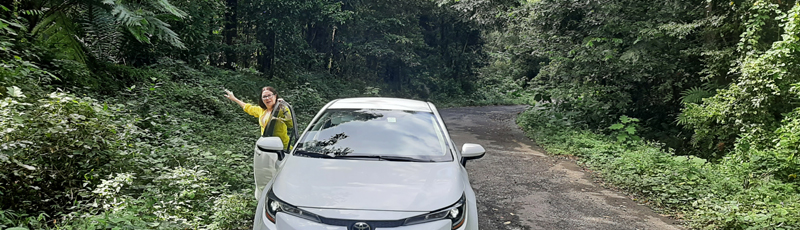 Llegando a El Yunque