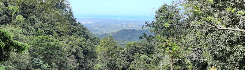 Vista desde el Ro Espritu Santo