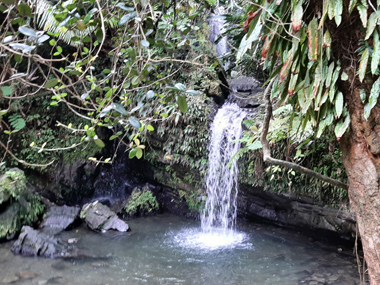 Cascada Juan Diego