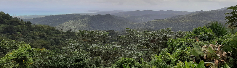 Vista desde Las Cabezas de San Juan