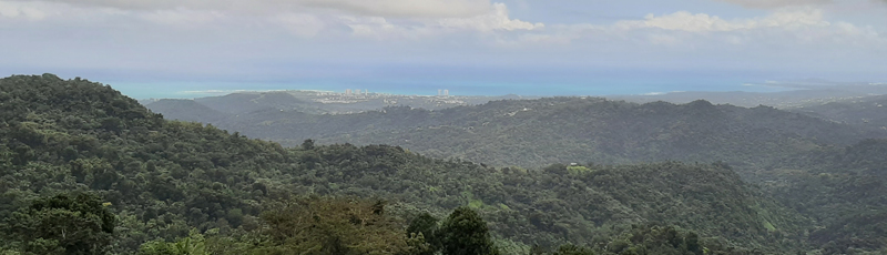 Vistas desde la Torre Yohaku