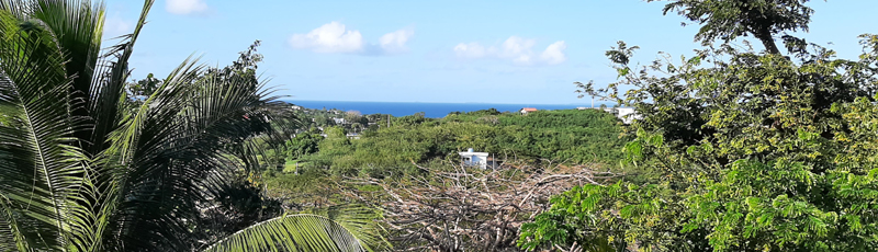 Vista desde nuestra terraza en el Seagate Hotel