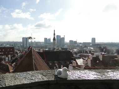 Vista de la ciudad vieja de Tallin