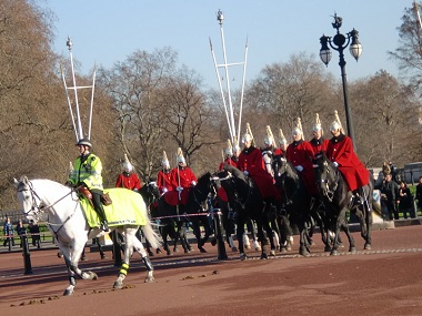 Horse guard in Buckingham
